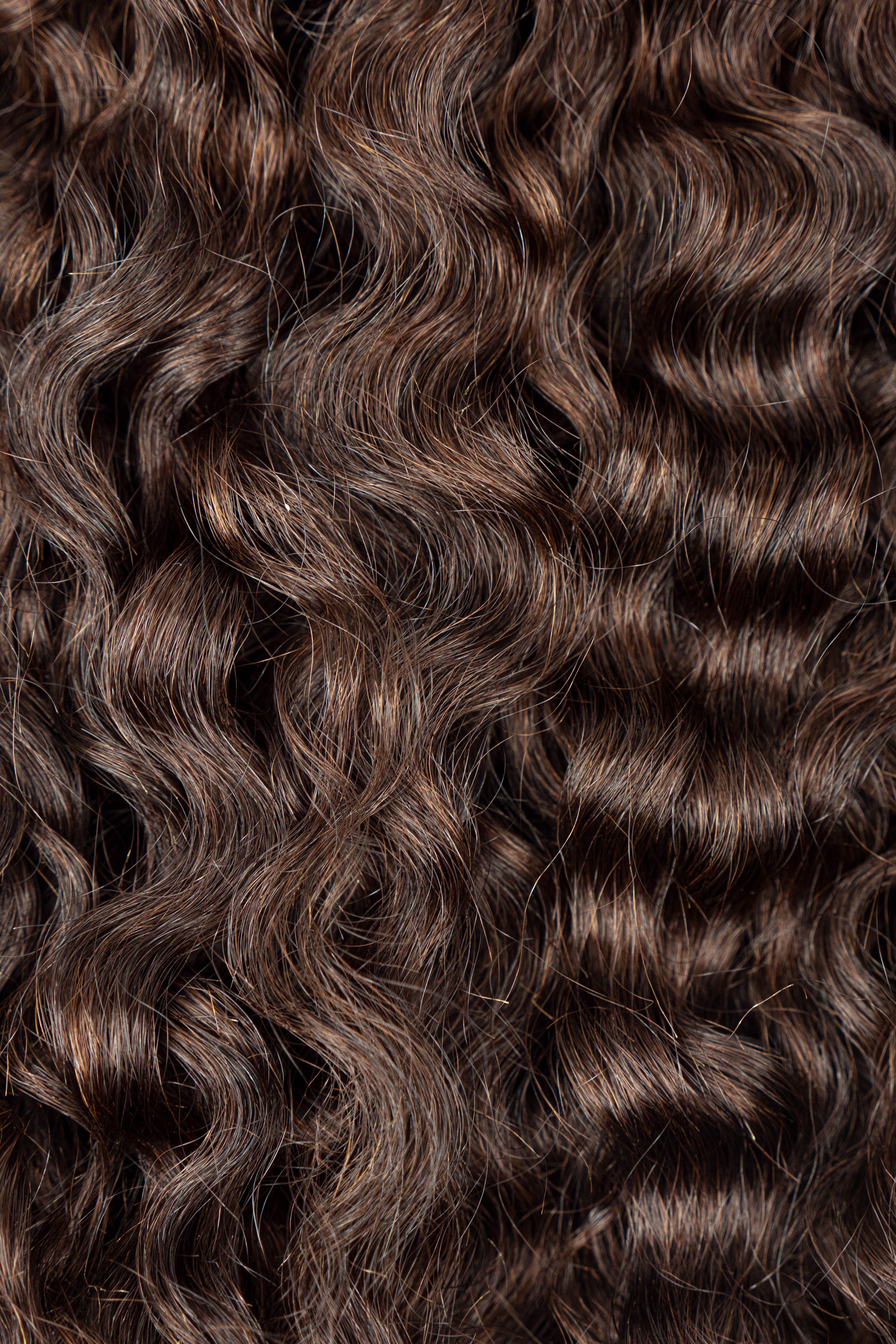 Kinky curly clip in Golden Brown